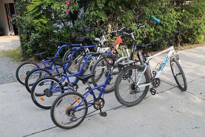 Half-Day Lanna Countryside Cycling Tour in Chiang Mai - Pricing