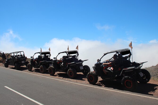 Half Day Morning Buggy Tour in Teide National Park - Tour Highlights