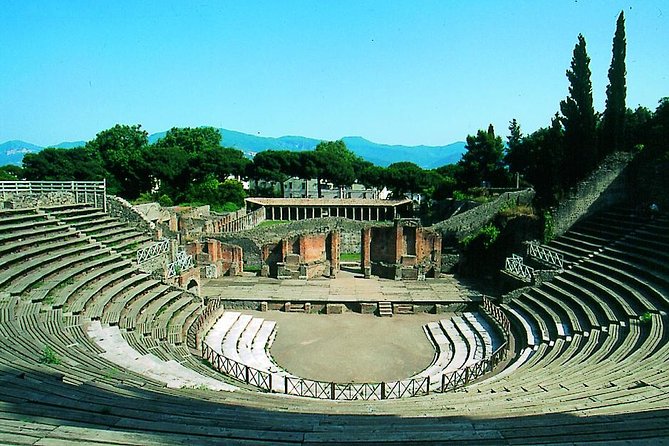 Half Day Morning Tour of Pompeii From Sorrento - Tour Experience