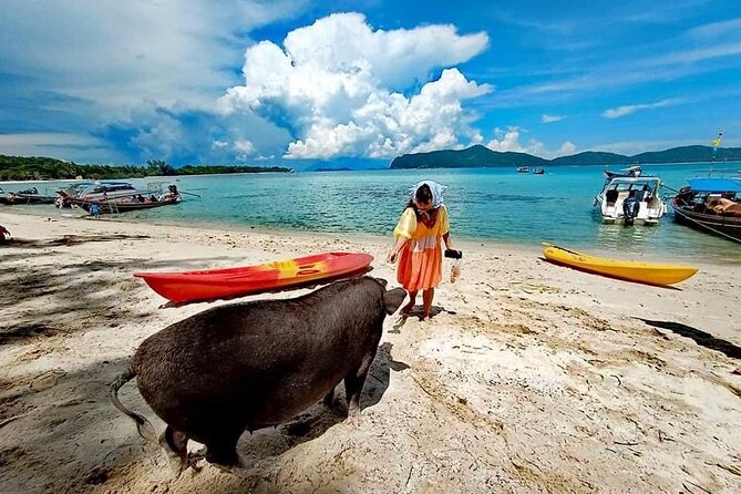 Half-Day Pig Island (Koh Madsum) and Koh Tan Speedboat Tour - Pricing and Booking Details