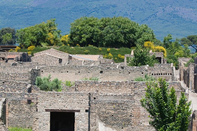 Half-Day Pompeii Sightseeing Tour From Sorrento - Overall Impressions and Recommendations