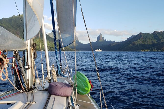 Half Day Private Excursion Self-navigate Mori Ora - Directions to the Meeting Point