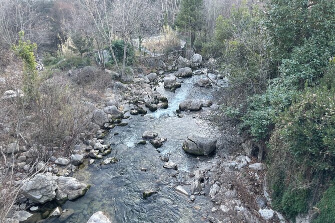 Half-Day Private Tour of Grasse and Its Surroundings - Local Gastronomy