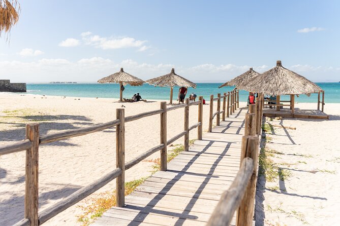 Half Day Private Tour of the Beaches of La Paz - Optional Activities and Add-Ons