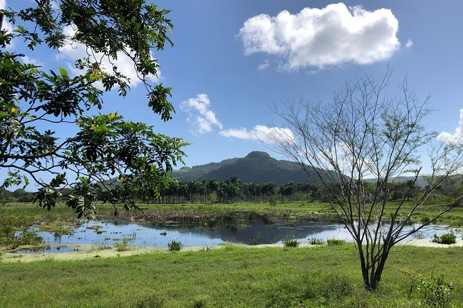 Half-Day Puerto Plata ATV Tour - Additional Information