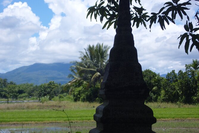 Half Day Rice Field Visions Guided Tour From Chiang Mai - Tour Logistics