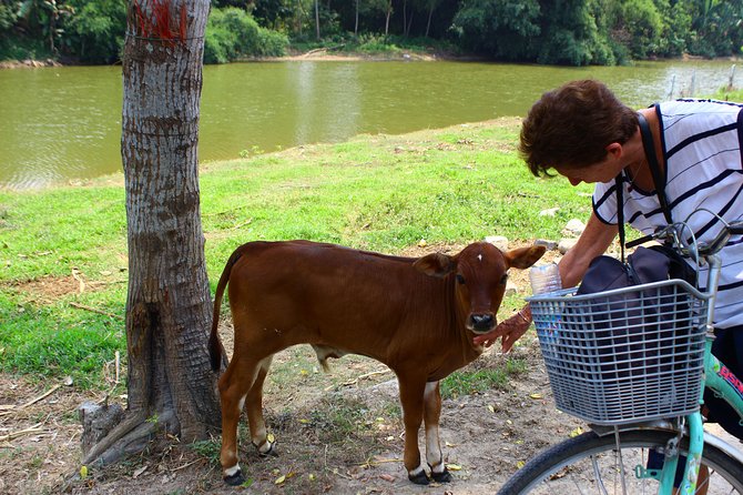 Half Day Ride Bike to the Farm and Cooking Activity With Foot Massage - Reviews and Ratings