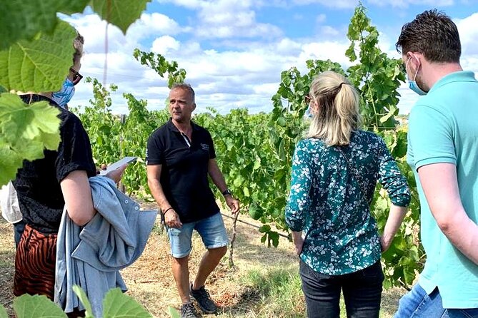 Half Day Safari Tour With Wine Tasting - Highlights of the Safari Tour