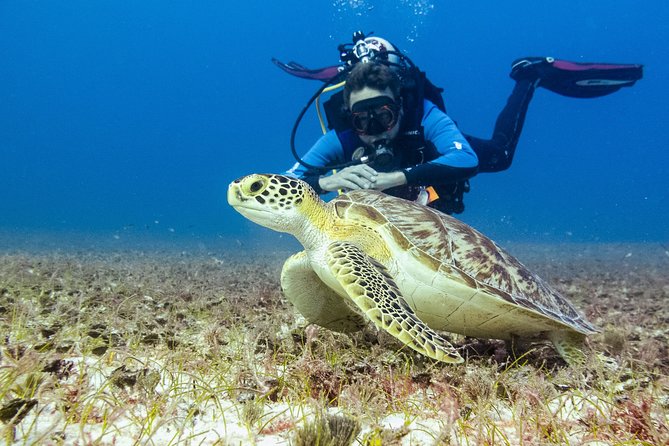 Half-Day Scuba Diving in Playa Del Carmen for Small-Group - Cancellation Policy