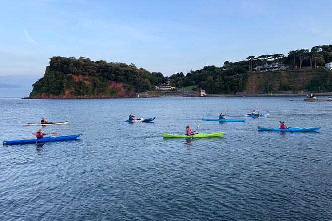 Half Day Sea Kayak Guided Tour - What To Expect