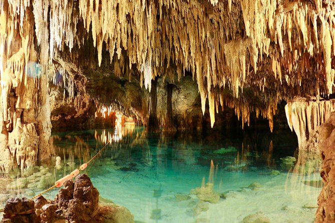 Half-Day Sea Turtle and Cenote Snorkeling Tour From Cancun & Riviera Maya - Customer Experiences and Recommendations
