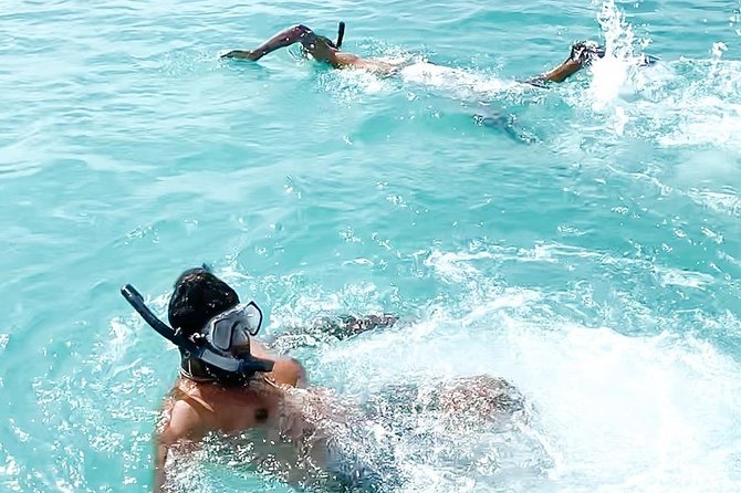 Half-Day Snorkeling and Beach Excursion in St. Maarten  - St Maarten - Traveler Photos