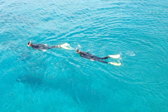 Half Day Snorkeling Experience in Kos Greece - Meeting and Pickup