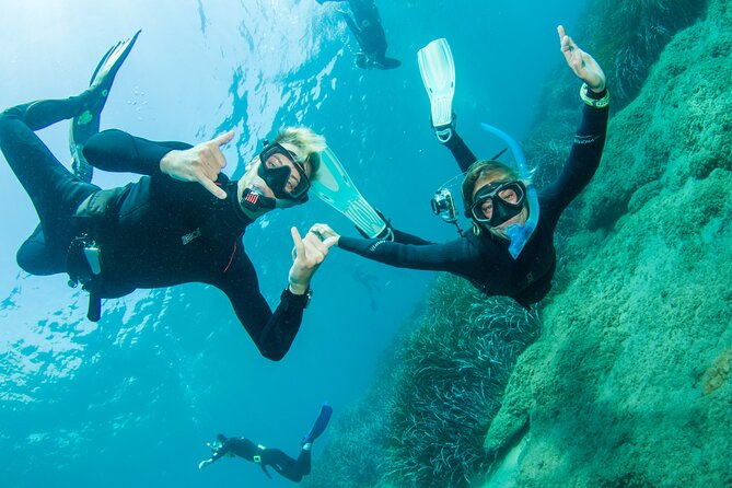 Half Day Snorkelling Course - No Previous Experience Needed! - The Sum Up