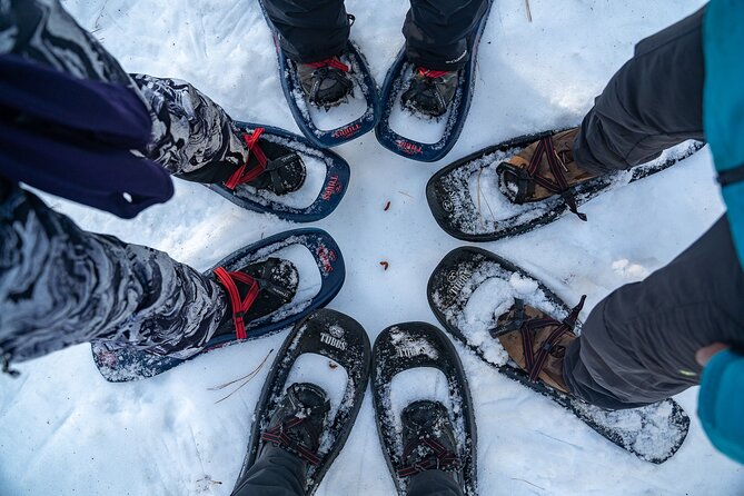 Half Day Snowshoe Hike in Tahoe National Forest - Cancellation Policy