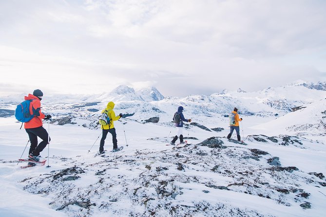 Half Day Snowshoe Tour - Additional Information