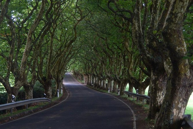 Half Day Terceira Island Tour by 4x4 - Traveler Photos