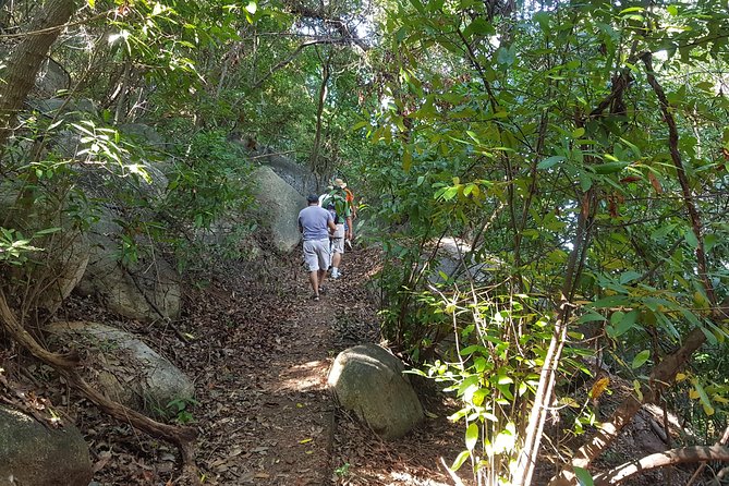 Half Day Tour Hiking La Roqueta Island and Lunch - Tour Highlights and Itinerary