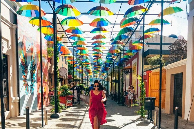 Half Day Tour in Puerto Plata - Tour Highlights