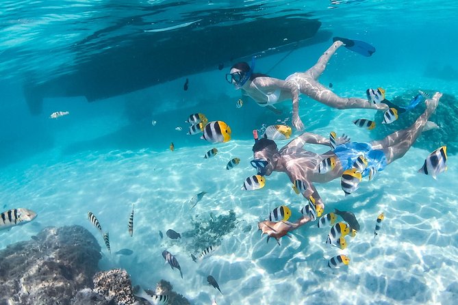 Half Day Tour : Moorea Snorkeling & Sailing on a Catamaran Named Taboo - Explore the Lagoon Waters