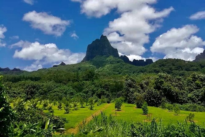 Half-Day Tour of Moorea Island in a Small Group - The Sum Up
