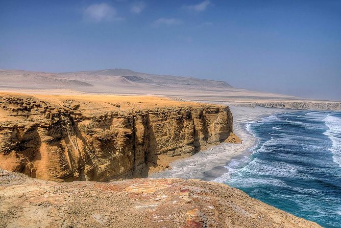 Half-Day Tour of Paracas National Reserve From San Martin Port - Additional Information