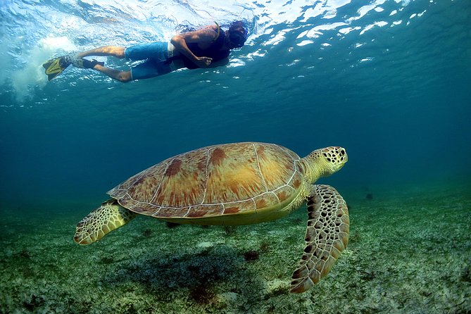 Half-Day Underwater World Tour - Cancellation Policy