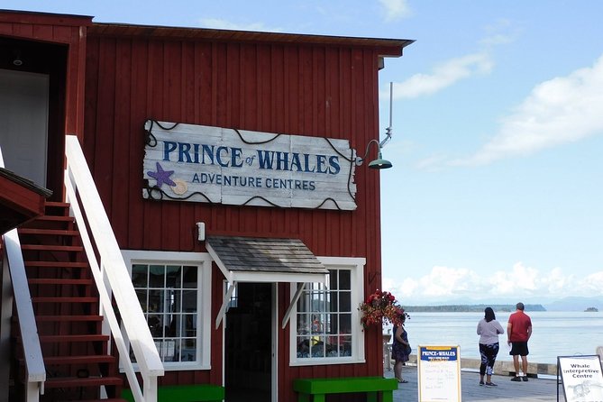 Half-Day Whale Watching Adventure From Telegraph Cove - Additional Information