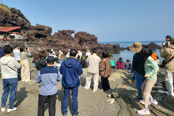 Half or Day Tour for Cruise Customers Arriving at Gangjeong Port - Inclusions