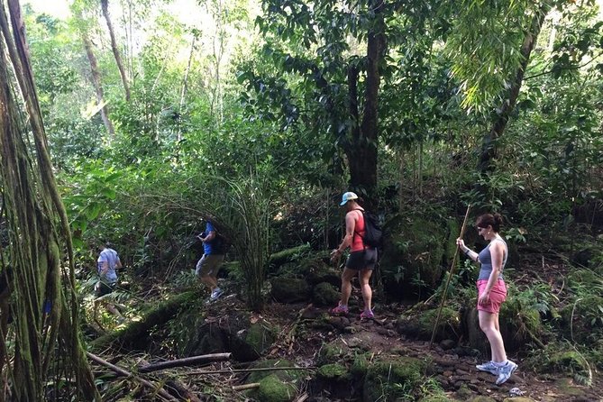 Hawaiian Waterfall Hike - The Sum Up