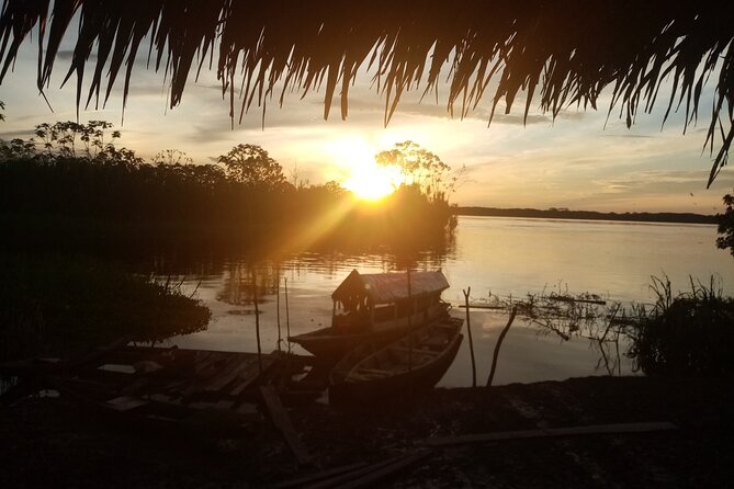 Healing, Treatment With Medicinal Plants 7 Days "Green Wild Amazon Expedition" - Lunch Options and Variety