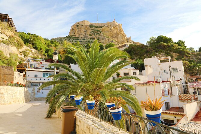Highlights & Hidden Gems With Locals: Best of Alicante Private Tour - Specific Reviews: Donald_M, Johan_D, Rodger_R, Per_A, Bruce_A
