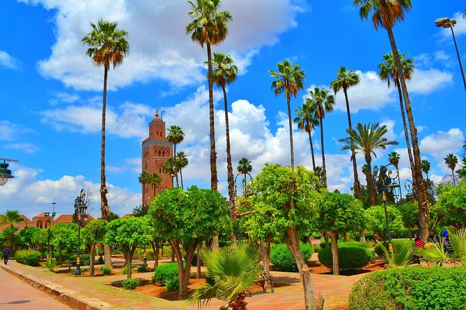 Highlights of Marrakech: Private Half-Day City Tour - Top Highlights of Marrakech