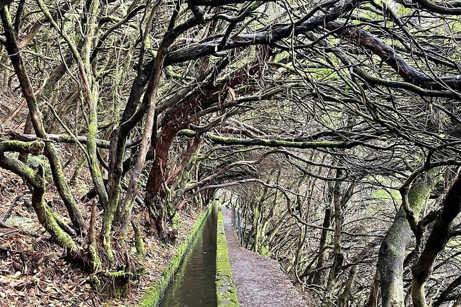 Hike 25 Fontes & Risco Levada Self-Guided - Flexible Cancellation Policy
