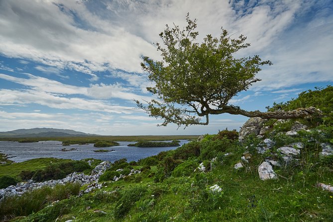 Hike Connemara National Park Depart From Galway City. Galway. Guided. Full Day. - Relaxing Lunch in the Park Tea Room