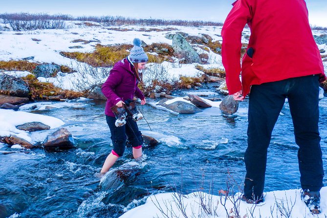 Hike In The Vindelfjäll - Europes Largest Nature Reserve - Beginner-Friendly Hiking Trails in Vindelfjäll