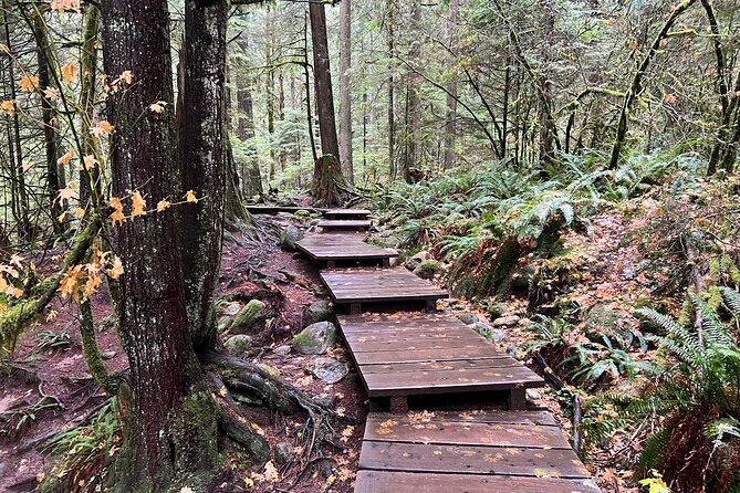 Hike Lynn Canyon and Bike Seymour Demonstration Forest - Cycling Tips and Safety Guidelines