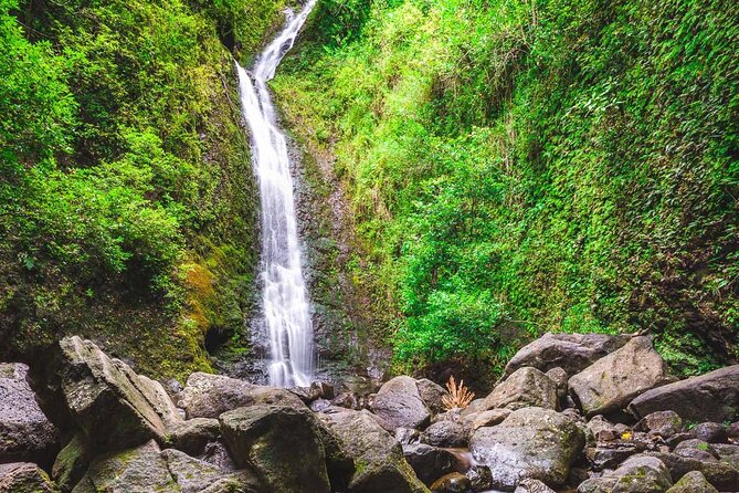 Hike Trail to Waterfall & Nature Walk - Traveler Reviews and Ratings
