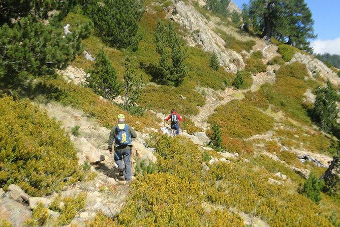 Hiking Activity to Flenga Peak and Dragon Lakes - Difficulty Level and Physical Fitness Requirements