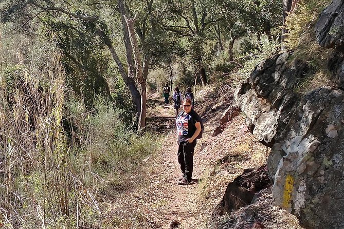 Hiking & Cheese Tasting: Private Tour From Valencia - Cheese Tasting Experience