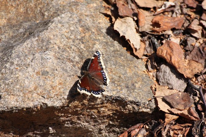 Hiking Expedition at Angel Rocks - Additional Information