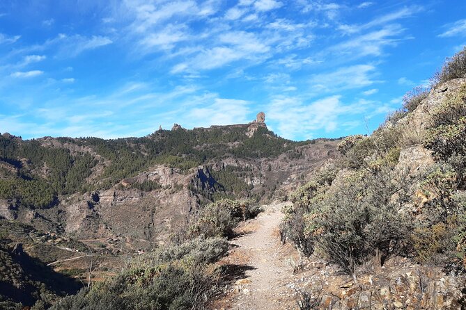 Hiking Experience in the North of Gran Canaria - Weather and Seasonal Considerations