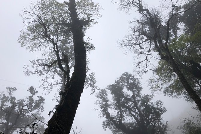 Hiking Fansipan in 1 Day - Highlights and Points of Interest