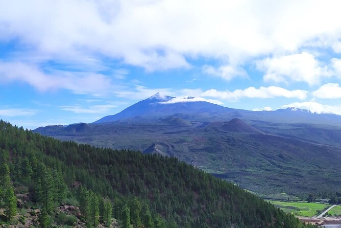 Hiking Through Enchanted Forest Above Masca Half-Day Hike Tenerif - Safety Tips