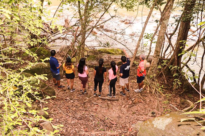 Hiking to Vallarta Botanical Garden. - Guided Tour Options