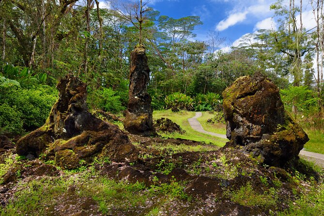 Hilo Shore Excursion: Volcano Safari Lava Caves, Falls & Highlights Small Group - Positive Feedback on Tour Guides