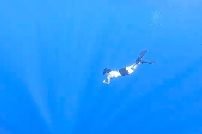 Hilo Small-Group Dolphin Watch and Snorkel Tour  - Big Island of Hawaii - Common Questions
