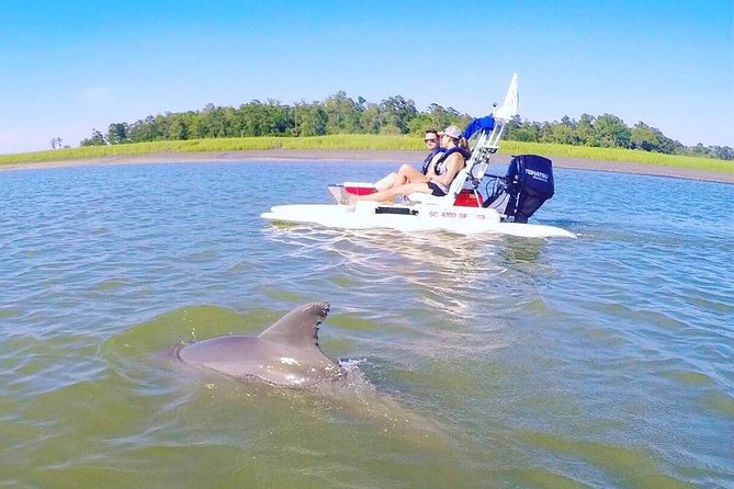 Hilton Head Guided Sunset Creek Cat Tour - Reviews