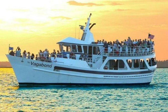 Hilton Head Island Dolphin Watching Nature Cruise - Questions and Additional Information