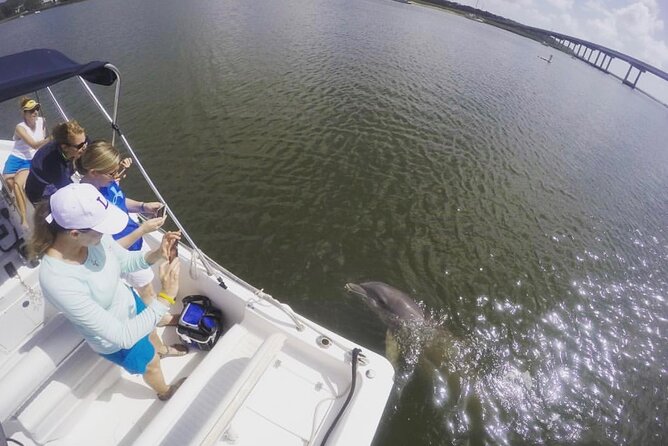 Hilton Head Island Sunset Dolphin Tour - Specific Positive Reviews
